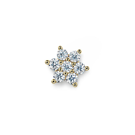 Eterna Bloom